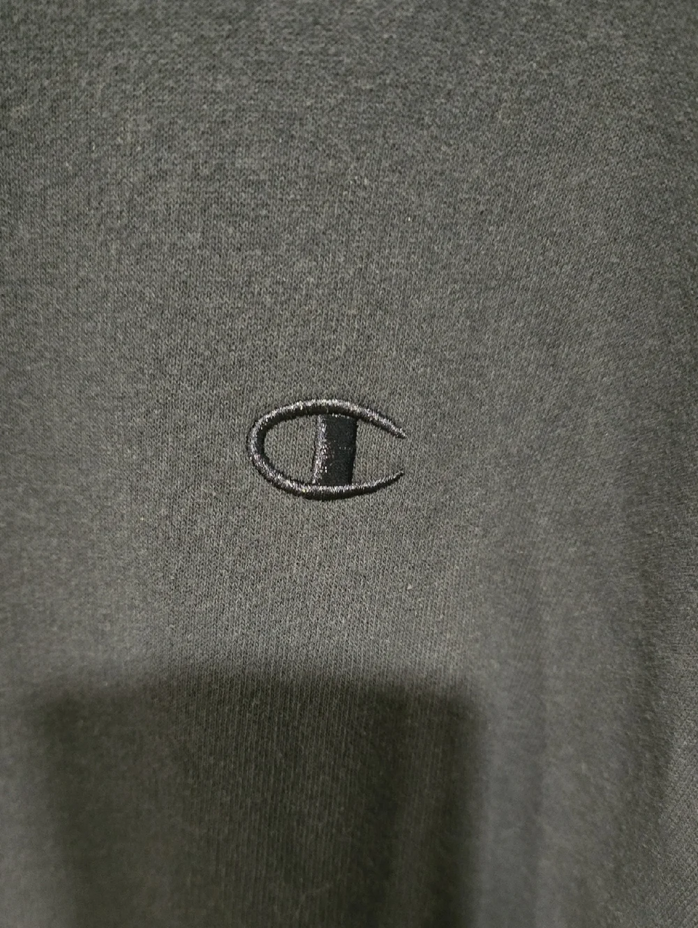 Champion - Picture 2 of 5
